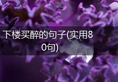 下楼买醉的句子(实用80句)