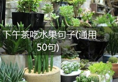 下午茶吃水果句子(通用50句)