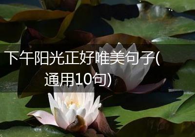 下午阳光正好唯美句子(通用10句)