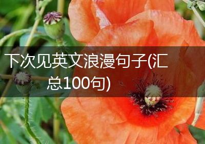 下次见英文浪漫句子(汇总100句)