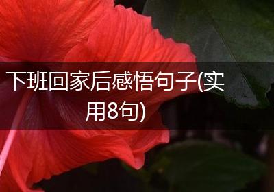 下班回家后感悟句子(实用8句)