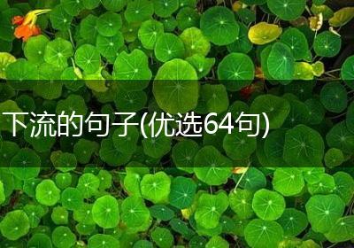 下流的句子(优选64句)
