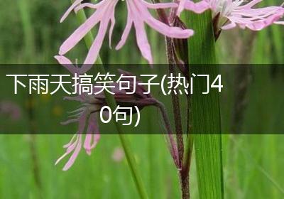 下雨天搞笑句子(热门40句)