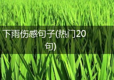 下雨伤感句子(热门20句)