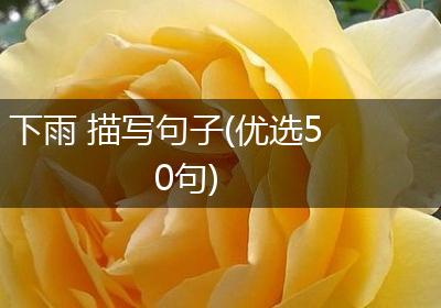 下雨 描写句子(优选50句)
