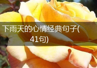 下雨天的心情经典句子(41句)