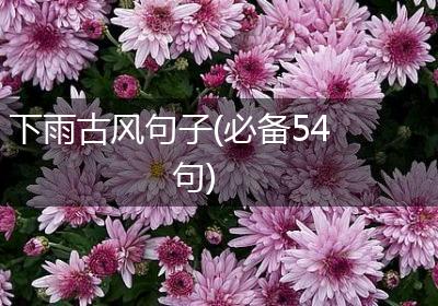下雨古风句子(必备54句)