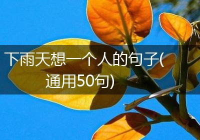 下雨天想一个人的句子(通用50句)