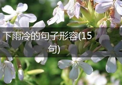 下雨冷的句子形容(15句)