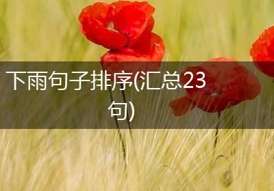下雨句子排序(汇总23句)