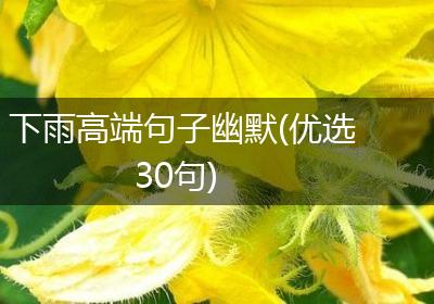 下雨高端句子幽默(优选30句)
