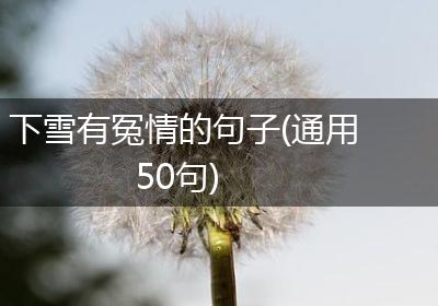 下雪有冤情的句子(通用50句)