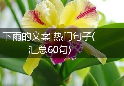 下雨的文案 热门句子(汇总60句)