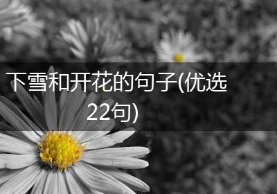 下雪和开花的句子(优选22句)