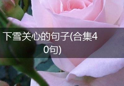 下雪关心的句子(合集40句)