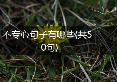 不专心句子有哪些(共50句)