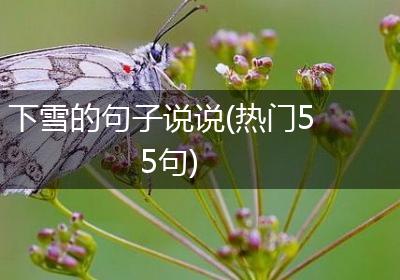 下雪的句子说说(热门55句)