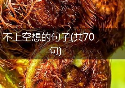 不上空想的句子(共70句)