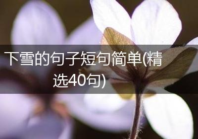 下雪的句子短句简单(精选40句)