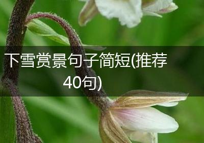 下雪赏景句子简短(推荐40句)