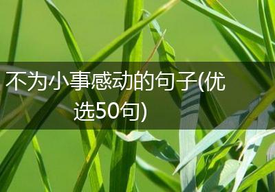 不为小事感动的句子(优选50句)