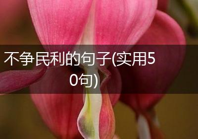 不争民利的句子(实用50句)