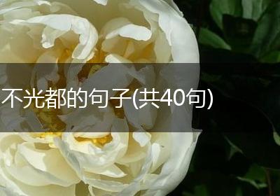 不光都的句子(共40句)