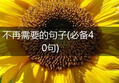 不再需要的句子(必备40句)