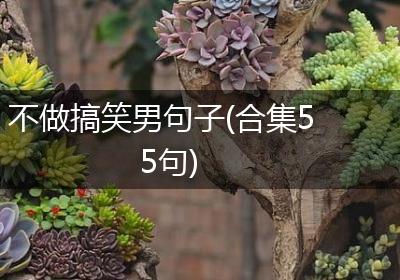 不做搞笑男句子(合集55句)