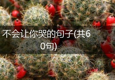 不会让你哭的句子(共60句)