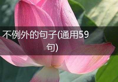 不例外的句子(通用59句)