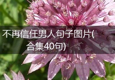 不再信任男人句子图片(合集40句)