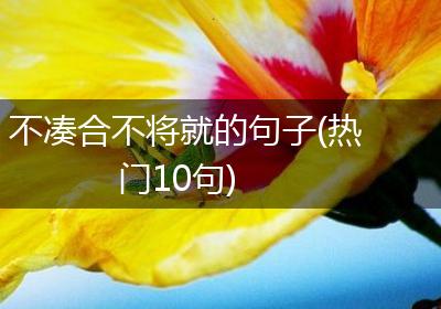 不凑合不将就的句子(热门10句)
