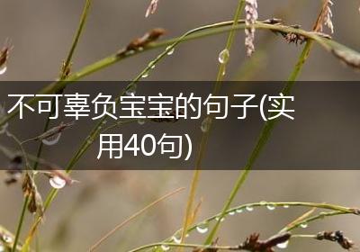不可辜负宝宝的句子(实用40句)