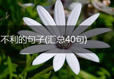 不利的句子(汇总40句)