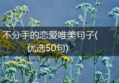 不分手的恋爱唯美句子(优选50句)