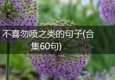 不喜勿喷之类的句子(合集60句)