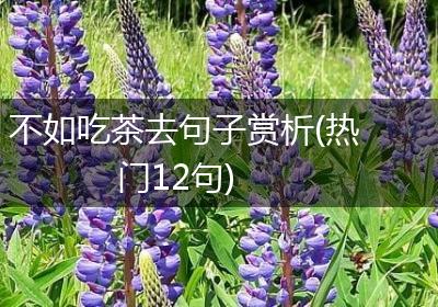 不如吃茶去句子赏析(热门12句)