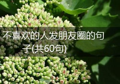 不喜欢的人发朋友圈的句子(共60句)