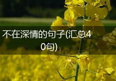 不在深情的句子(汇总40句)