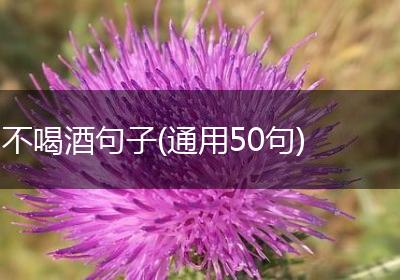 不喝酒句子(通用50句)