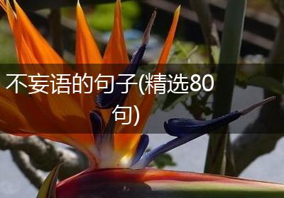 不妄语的句子(精选80句)
