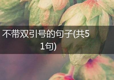 不带双引号的句子(共51句)