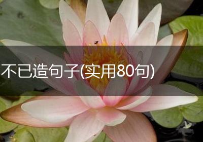 不已造句子(实用80句)