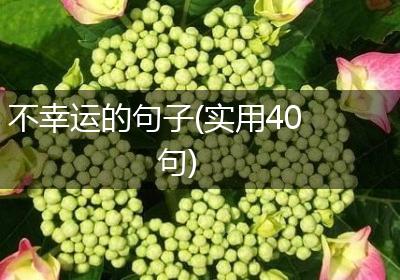 不幸运的句子(实用40句)