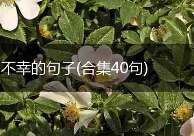 不幸的句子(合集40句)