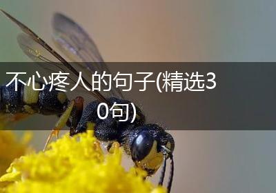 不心疼人的句子(精选30句)