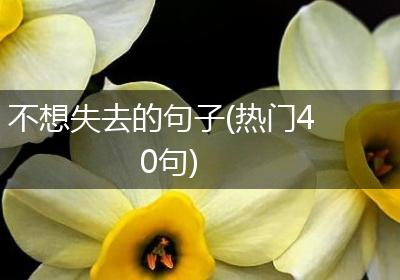 不想失去的句子(热门40句)