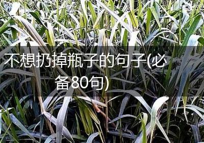 不想扔掉瓶子的句子(必备80句)