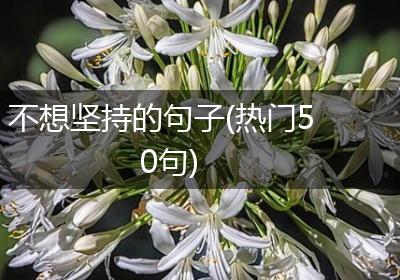 不想坚持的句子(热门50句)